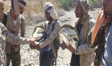 ماجد رفي زاده: يجب معاقبة إيران لتزويد الحوثيين بالسلاح الذي يقتل اليمنيين