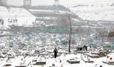 البرد القارس يقتل عشرات الأفغان ويُجمد آلاف الماشية بسبب تعنُّت طالبان