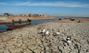 إيران والفساد.. لماذا بات العراق مهدداً بالجفاف؟