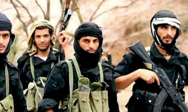 استغلال الأحداث في اليمن وسوريا وإفريقيا.. مستقبل أذرع القاعدة خلال العام 2023