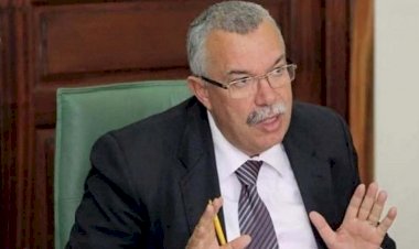 أخطبوط النهضة.. نور الدين البحيري العقل المدبر لإخوان تونس