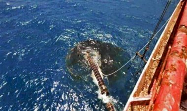 فايننشال تايمز: يجب الوقوف في وجه الحوثيين لتجنب كارثة بيئية في البحر الأحمر