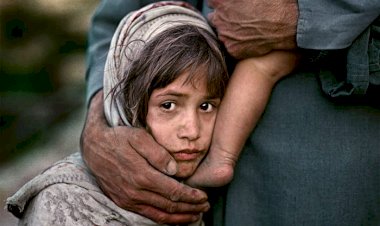 مسؤول سابق أمام الأمم المتحدة: طالبان تسرق المساعدات الإنسانية وتُجوّع الشعب الأفغاني