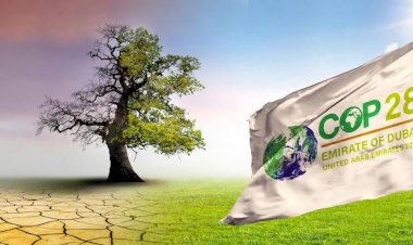 الطاقة النووية السلمية والحلول المناخية والخلوة الخضراء.. لهذا تنظم الإمارات cop28