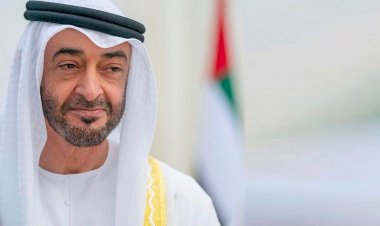 عام على حكم محمد بن زايد للإمارات.. قائداً للمسيرة