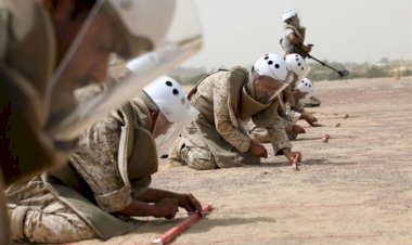 حصيلة جديدة لضحايا الحوثي من الألغام