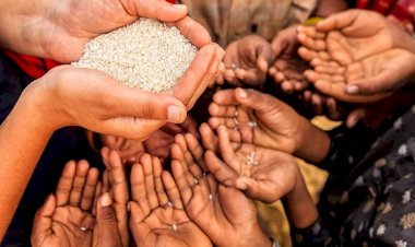 60 مليون دولار خسائر منظمات الإغاثة في السودان... وكارثة إنسانية تلوح في الأفق