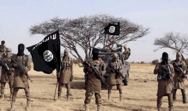 عودة داعش وتوسيع أعماله في بوادي سوريا.. مخاوف واسعة من الخلايا النائمة