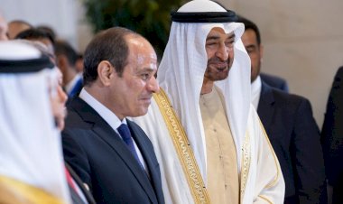 الإمارات ومصر .. أخوة وصداقة واستثمار للمستقبل