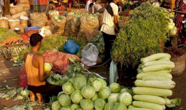 لإنقاذ العالم.. جهود إماراتية مكثفة لمواجهة انعدام الأمن الغذائي والمجاعات