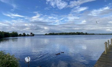 نقطة انطلاق وفرصة أخيرة.. COP28 في الإمارات أمل العالم الحاسم للتحوُّل للطاقة النظيفة