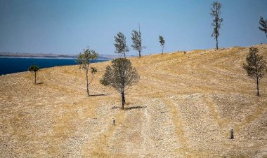 تصحُّر وندرة مياه.. هل تتجه سوريا إلى إبادة بيئية تهدد الملايين من الشعب؟