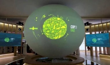 كيف يعتبر كوب 28 أكثر خطة طموحة عبر التاريخ؟