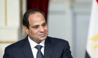 ترشح السيسي للانتخابات الرئاسية بمصر يربك حسابات الإخوان