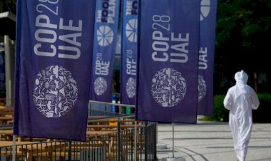 لحظات فارقة.. أنظار العالم تتجه إلى الإمارات قبل ساعات من قمة المناخ COP28