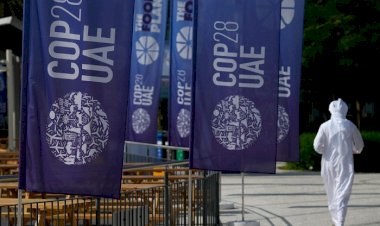 الإمارات تتسلّم رئاسة قمة المناخ من مصر بدعوة لتسريع العمل المناخي الجماعي