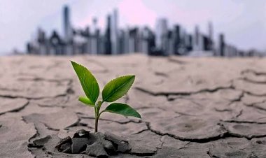 خبراء يرصدون دور الإمارات الريادي في الحفاظ على البيئة وحماية المناخ