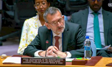 مجلس الأمن ينهي مهمة يونيتامس في السودان.. لماذا؟