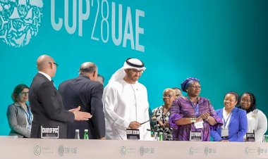 صحيفة صينية: دور إماراتي كبير في الشرق الأوسط في مجلس الأمن وقمة المناخ