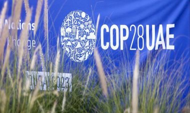 نيويورك تايمز: الإمارات تدقّ جرس الإنذار في العالم بشأن الذكاء الاصطناعي في COP28