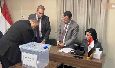 الانتخابات المصرية.. نحو استكمال مسار الديمقراطية