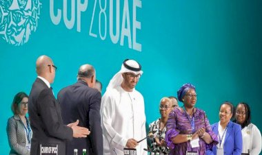 بي بي سي: الإمارات على بُعْد خُطوات من إنجاز عالمي جديد في cop28