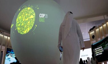 في خطوة تاريخية.. الإمارات تتعهد أمام العالم بمواجهة تغيرات المناخ في cop28