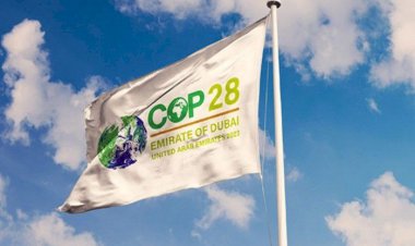 الأمل في الإمارات.. تفاؤُل عالمي كبير بنجاح COP28 في التحوُّل للطاقة النظيفة