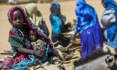 اغتصاب وتطهير عرقي.. اللاجئون السودانيون في تشاد يروون عن فظائع تحدث في دارفور