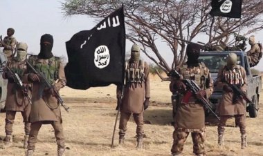 كيف توظف جماعة الإخوان أحداث غزة لمصالحها الشخصية؟