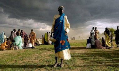 التزامات دولية وفرص جديدة: إفريقيا تتقدم في معركة المناخ بعد COP28