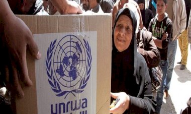 رغم التحديات.. مواقف إنسانية كبرى للإمارات في دعم وكالة أونروا لمساندة الشعب الفلسطيني