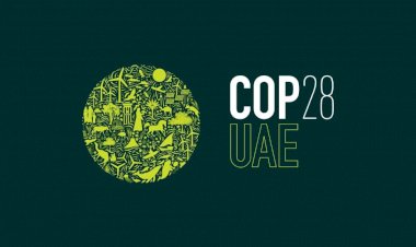 نجاز COP28 حول الهيدروجين الأخضر منخفض الكربون