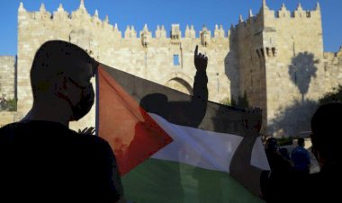 الإمارات تضمد جراح أهالي غزة بتوفير خدمتي  Starlink و المستشفى العائم