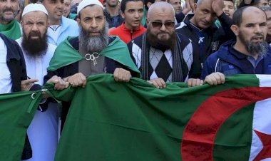 تعديل قانون الانتخابات.. بوابة إخوان الجزائر للعودة إلى السلطة