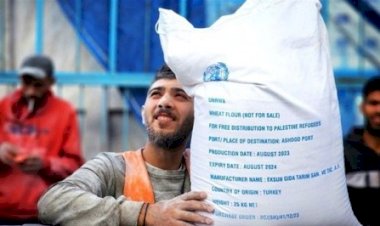 بوصول 12 قافلة.. شمال غزة يتذوق الطحين بفرح لأول مرة منذ 4 أشهر