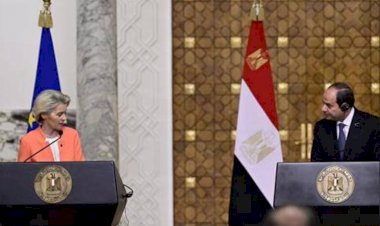 أستاذ علاقات دولية: مصر بلد وشريك استراتيجي في العالم واستقراره هام للجميع