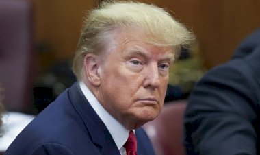 لغز نجل ترامب.. هل يتخلى عن والده أم يدعمه في الانتخابات المقبلة؟