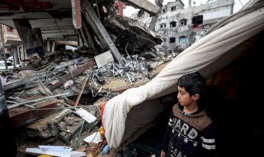 تتصدر المشهد الإنساني.. تعرف على أشكال الدعم الإماراتي لغزة