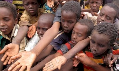 أزمة إنسانية متفاقمة: المجاعة تهدد حياة 5 ملايين شخص في السودان