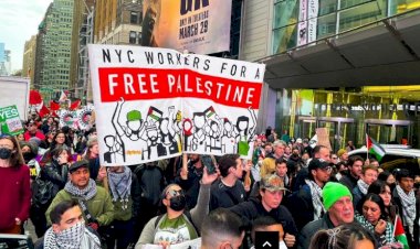 تزامنا مع يوم الأرض.. مظاهرات عبر العالم تطالب بوقف النار في غزة.. القصة الكاملة