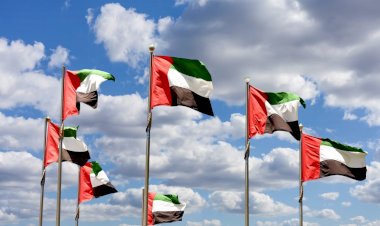 الإمارات تتصدر العرب في مؤشر فيتش للمخاطر 2023: نموذج للتنمية المستدامة