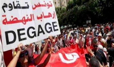 محلل تونسي: الدولة تواجه مخاطر الإخوان بمصادرة أموالهم المشبوهة