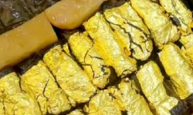 ورق عنب مطلي بالذهب.. وجبة في الكويت يصل سعرها لـ 3 أونصات