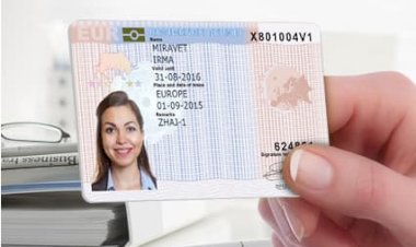 «الإقامة الزرقاء».. حافز جديد لجذب المواهب العالمية في مجال حماية البيئة