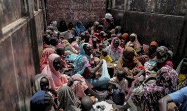 ازدواجية المعايير وتوقف الإغاثة.. ماذا يحدث لنازحي السودان في تشاد؟