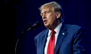 بعد الإعلان عن اختياره له.. من هو نائب ترامب في انتخابات الرئاسة الأمريكية