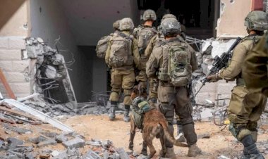 اغتيال 3 أسرى فلسطينيين.. جريمة جديدة تضاف لسجل الفظائع في غزة.. ما التفاصيل؟