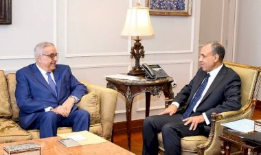 مباحثات مصرية لبنانية لتهدئة الأوضاع في المنطقة.. ما التفاصيل؟