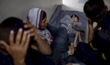 سوء التغذية ومجاعة وشيكة.. خطر جديد يطارد الفلسطينيون في رفح بسبب الحصار الإسرائيلي